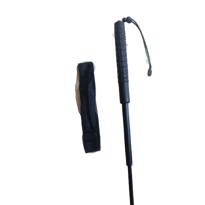 Expandable Baton Training