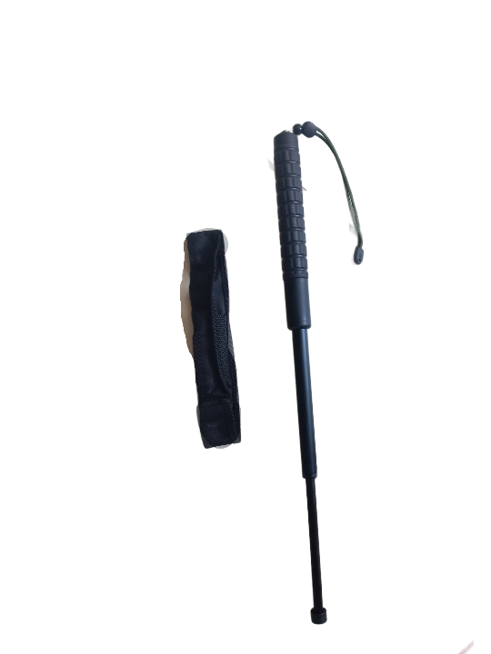 Expandable Baton Training